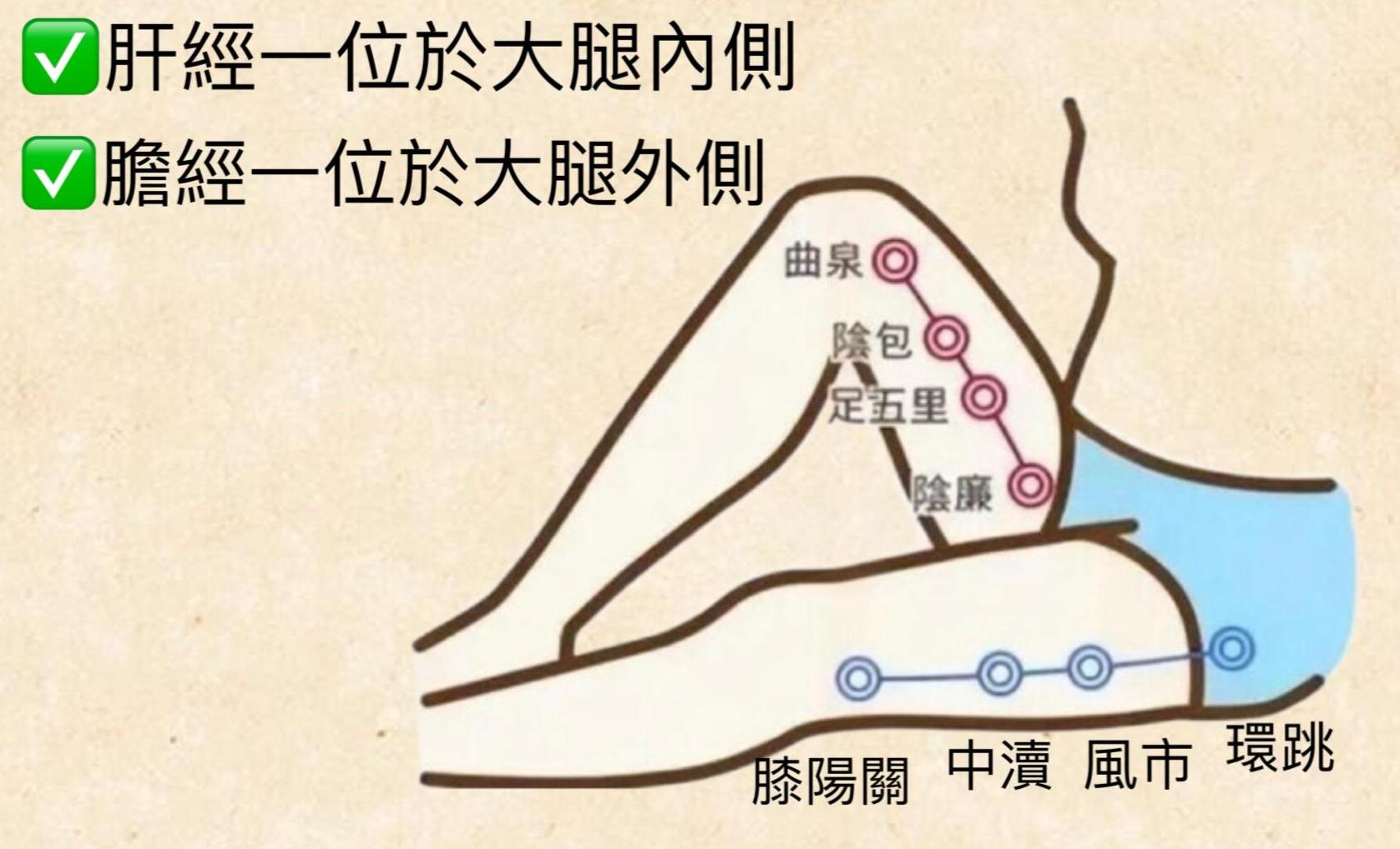 20251127091618856359.jpeg 肝经胆经.jpeg