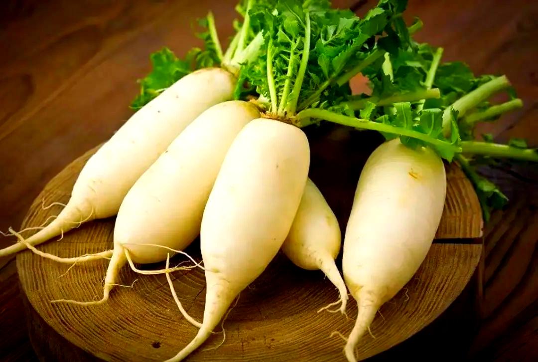 20251127331609162939.jpeg 白萝卜.jpeg